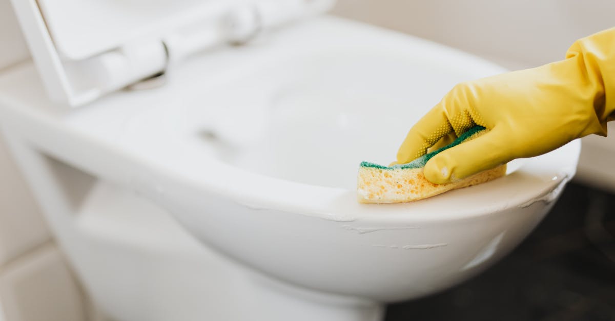 découvrez comment détartrer efficacement vos toilettes pour éliminer le calcaire et assurer une hygiène optimale. conseils pratiques et produits recommandés pour un nettoyage en profondeur.