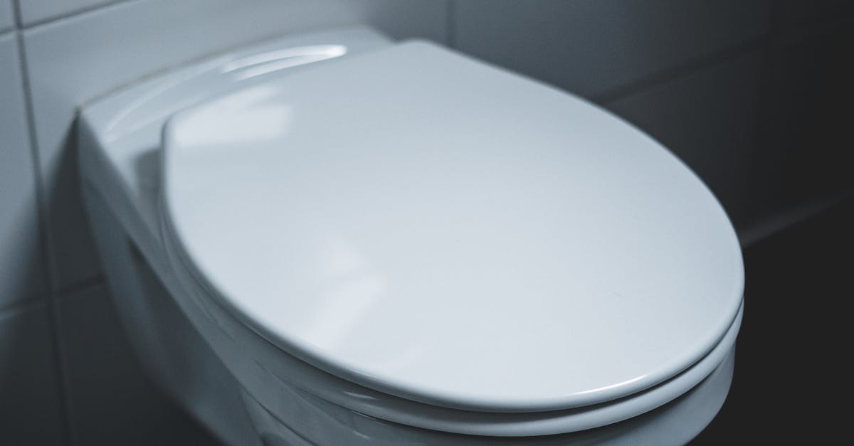 découvrez le mécanisme de chasse d'eau : fonctionnement, types et conseils pour choisir et entretenir votre système de chasse pour une plomberie efficace.