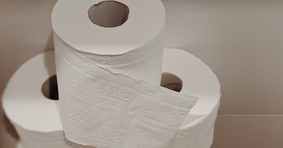 assurez une stabilité optimale de votre siège de toilette pour un confort et une sécurité accrus. découvrez nos conseils et solutions pour un maintien fiable et durable.