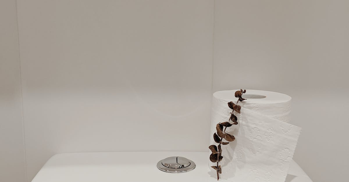 remplacement de la chasse d'eau pour toilette suspendue : guide pratique pour un entretien efficace et rapide de votre wc mural.