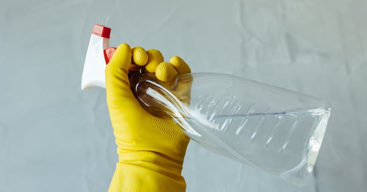 conseils et techniques efficaces pour nettoyer vos papiers peints et préserver leur beauté.