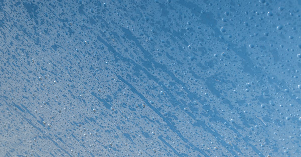 découvrez nos conseils et astuces efficaces pour le nettoyage du papier peint et retrouvez des murs impeccables en un rien de temps.