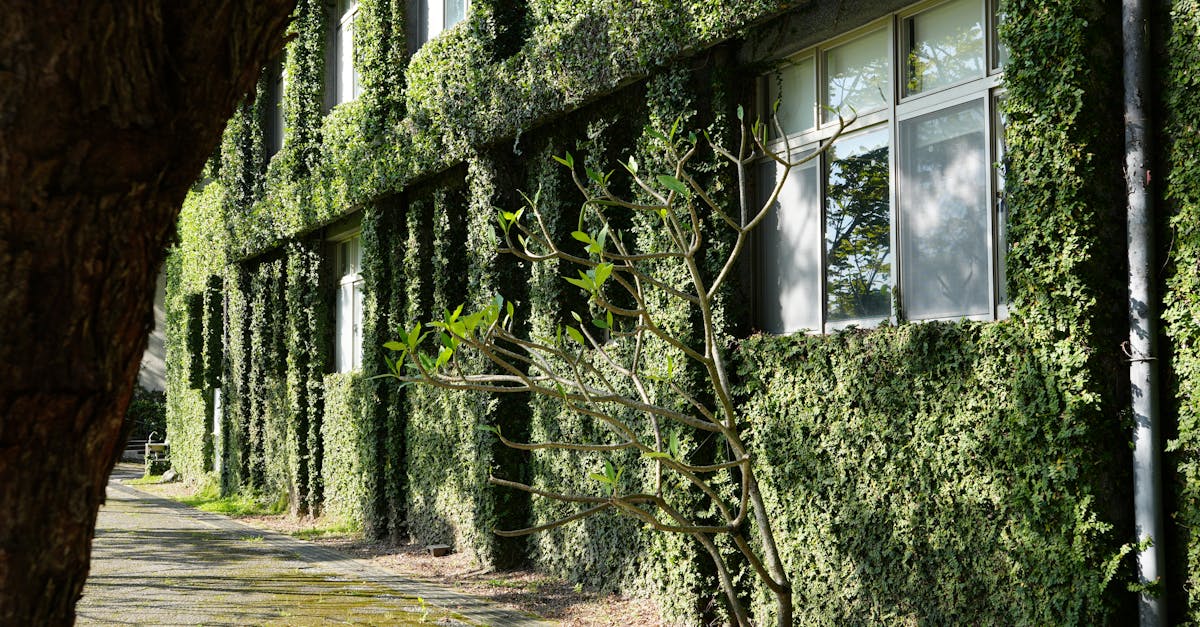 découvrez les méthodes efficaces pour la régulation de la température de l'eau afin d'assurer un confort optimal et une utilisation sécurisée dans diverses applications.